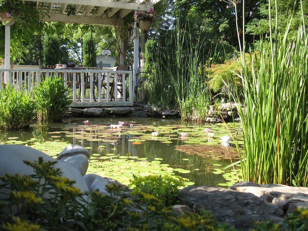 Carrousel Bed & Breakfast Cayuga Dış mekan fotoğraf